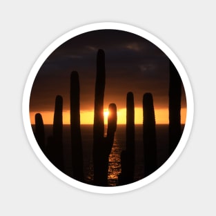 A Cactus Sunset Magnet